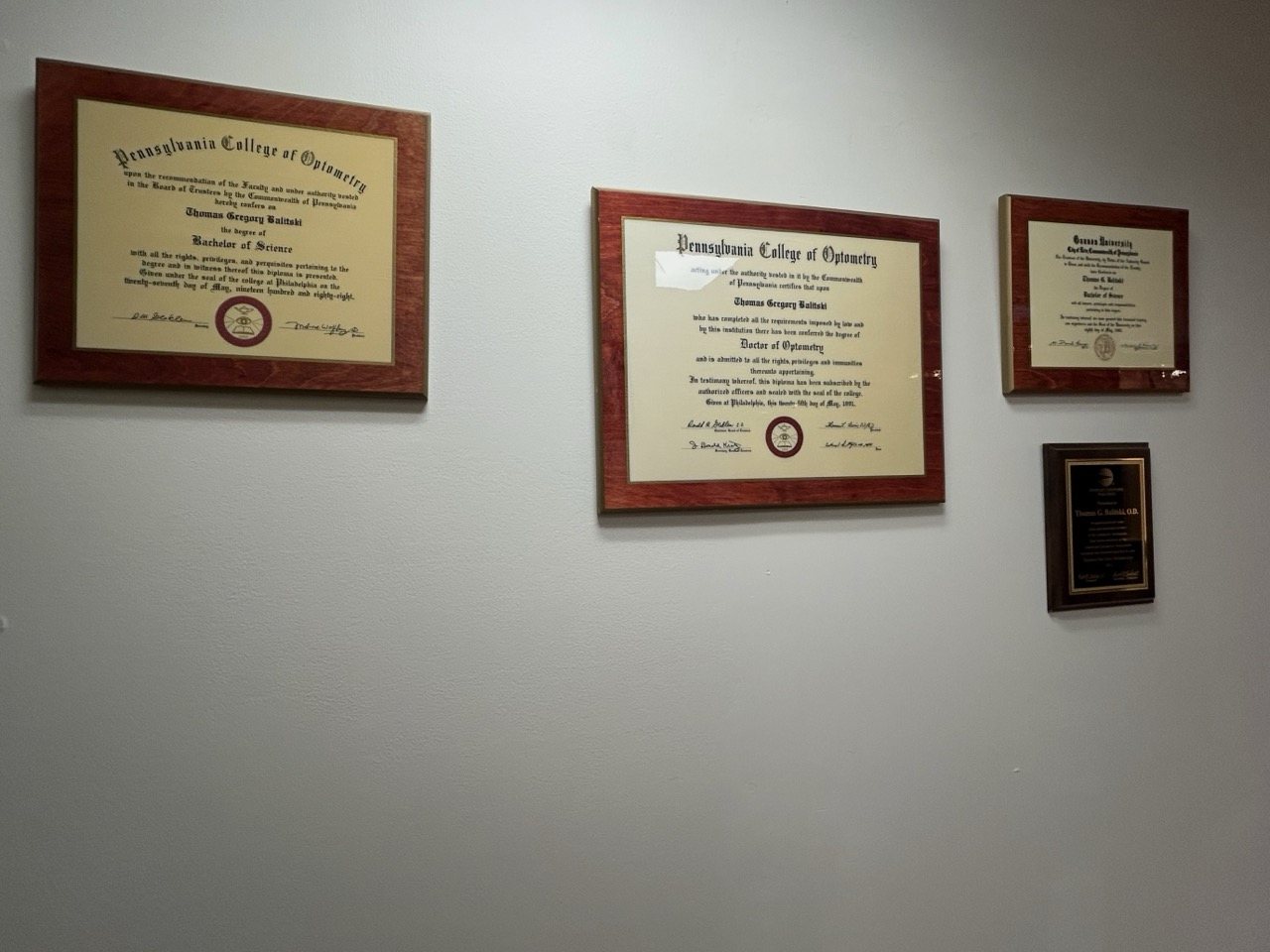 Education and optometry training credentials at Balitski Vision